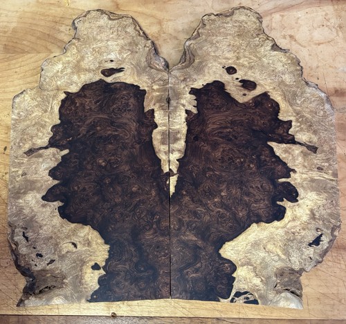 Collector grade cocobolo - grade,