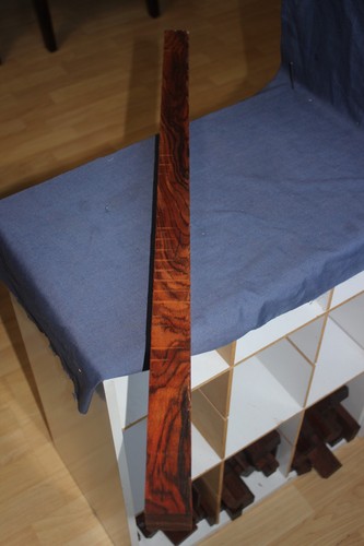Mexican cocobolo 1 47 - mexican, x