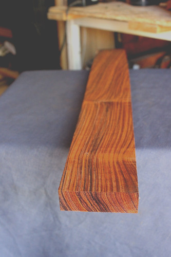 Mexican cocobolo x - 1",